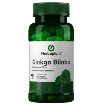 Ginkgo Biloba 300 mg 60 Cápsulas